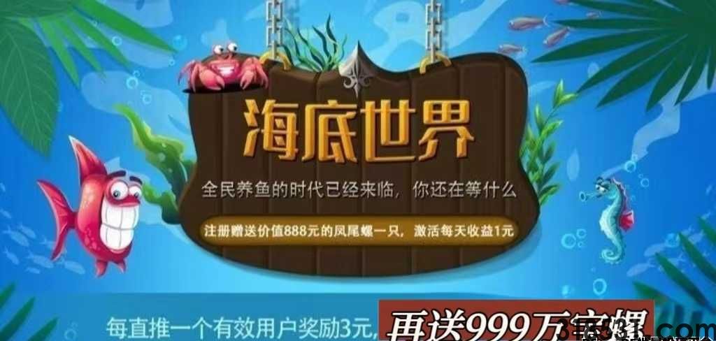 网络项目