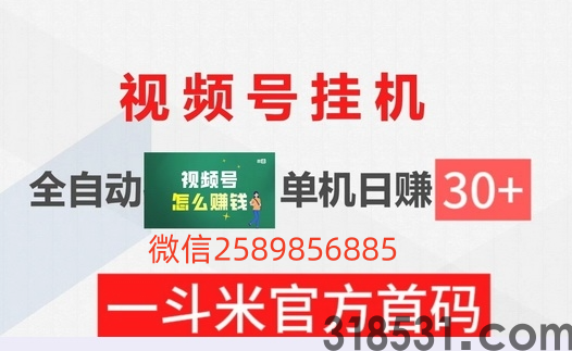 一斗米视频号24小时自动操作指南！赚米新玩法解析！