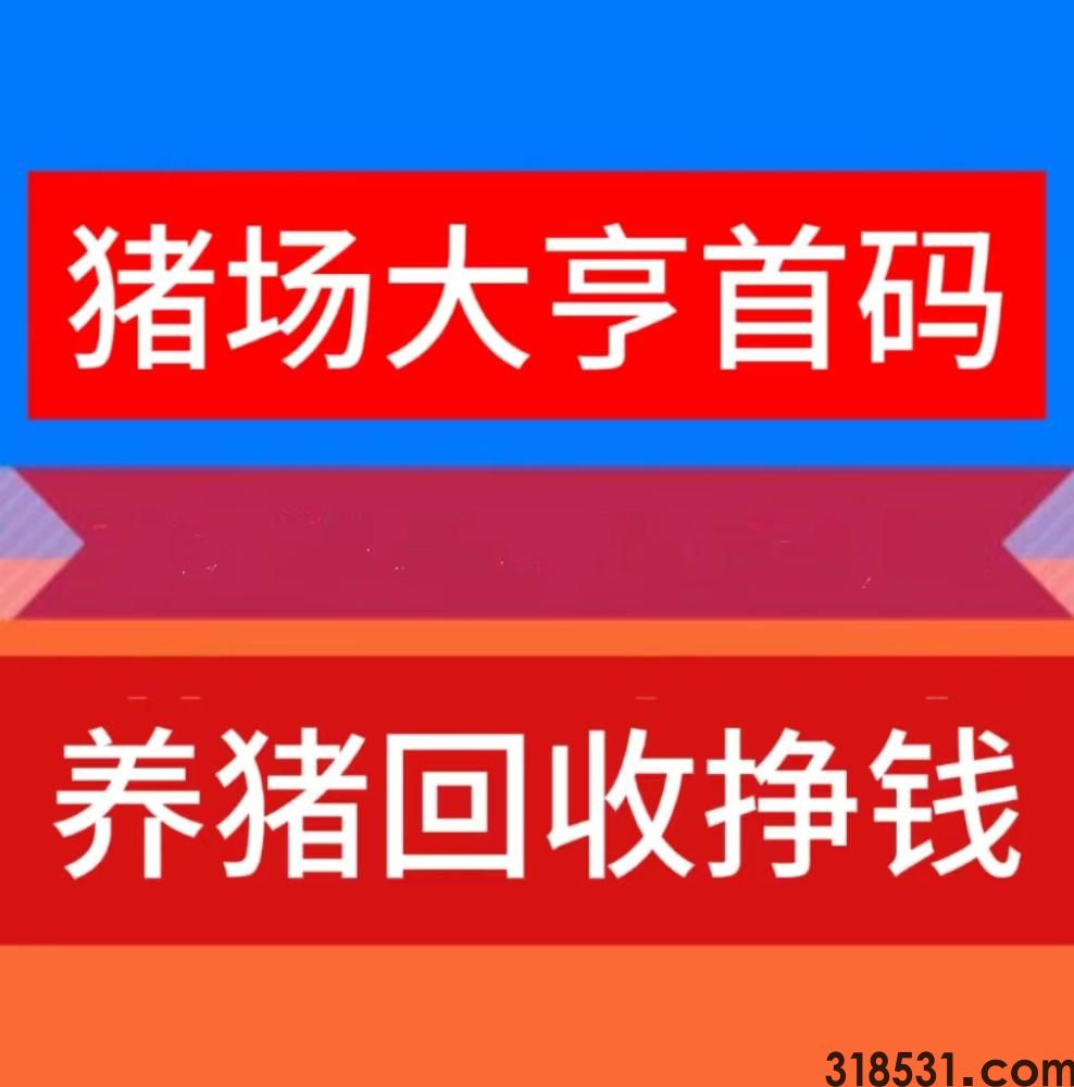 养猪大亨首码发布，专业靠谱的养猪回收挣钱游戏